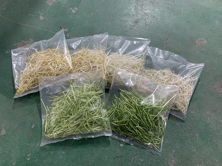 Bean Sprout Industry豆芽花生苗行業